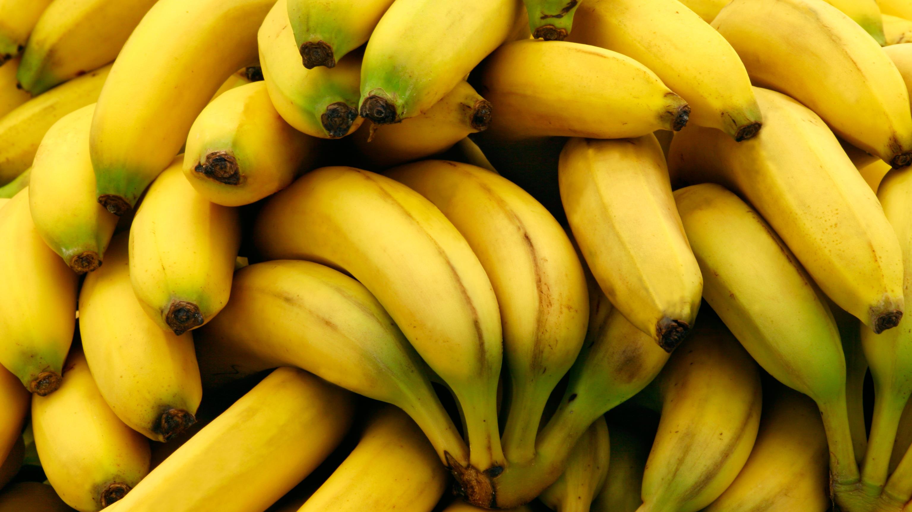 une image de bananes